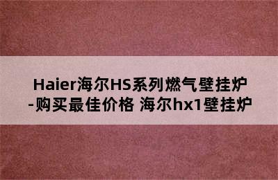 Haier海尔HS系列燃气壁挂炉-购买最佳价格 海尔hx1壁挂炉